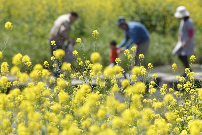 沖縄には花粉症がない 移住したら天国が待っている 明日は未来だ